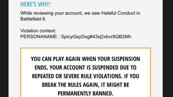 SpicyGayDog's tweet photo. So it turns out, having my Steam name, That matches my twitch name, that matches my twitter name, that doesn't match my EA name because they won't let you use the word "gay"  
Got my account banned...

If buying and playing the game through steam means that it uses the Steam name for multiplayer, instead of locking us to our EA client name, then why did I just get banned without warning. "SpicyGayDog" is not a hate crime, it is the name I've been using on that platform for the past 4 years and will continue to do so. 

I'm begging the BF devs and EA to look into this because banning me from EA services for my STEAM NAME is wild.