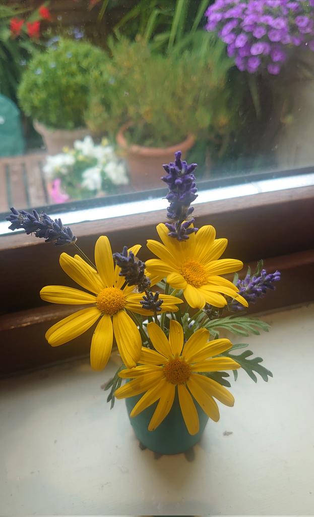 Kathleen W. Yeates tweet media