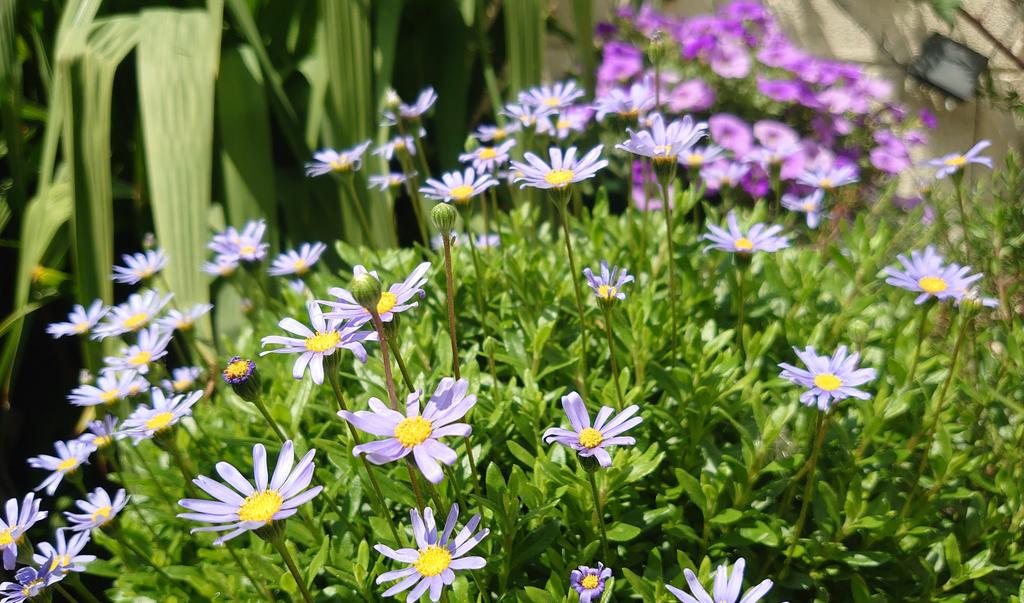 Kathleen W. Yeates tweet media