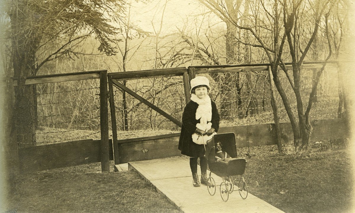 Morningstar Mill tweet media