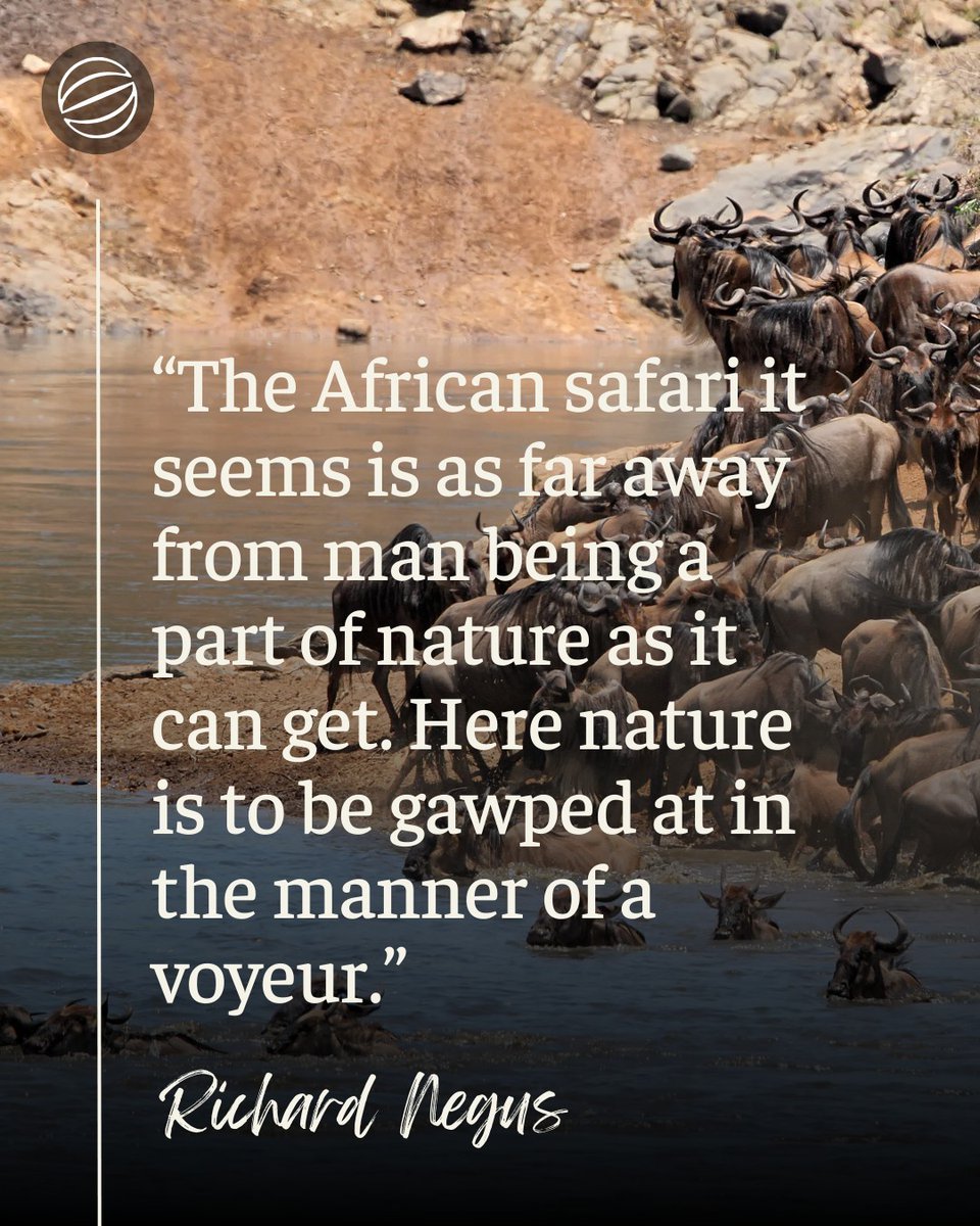 Scribehound Countryside tweet media