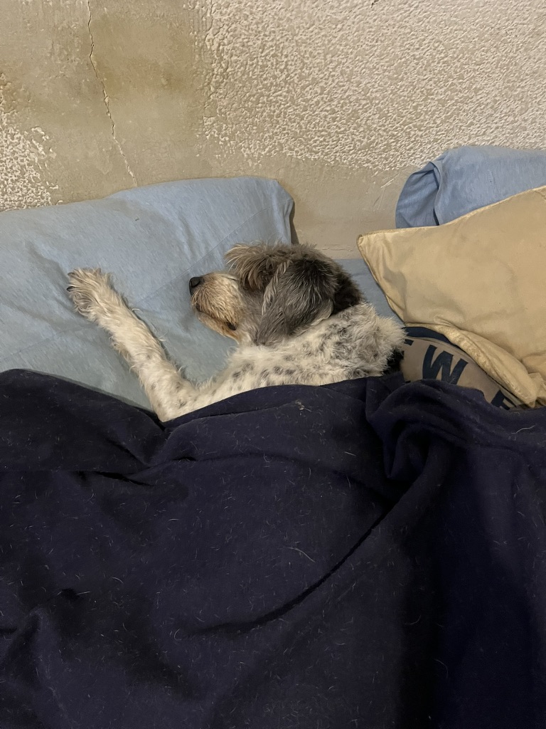 Pues viernes de dormir todo día!

Excelente inicio de fin de semana para todos!