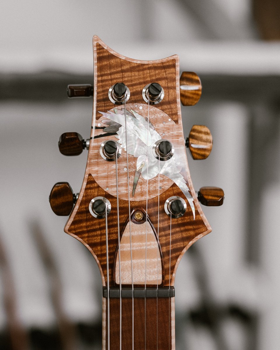 PRS Guitars tweet media