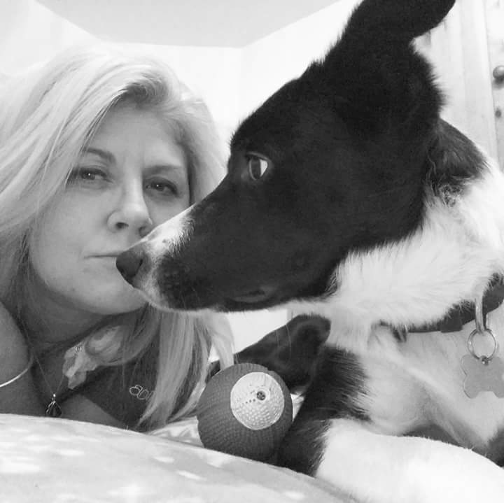 9 years ago today my hoos came to my before home to take me on 7 day trial.The following day they phoned my before hoos &amp; said I wouldn't be returning to them.The rest is history. So many memories, many more to make. Still miss my goofiest goofs Merl,will never forget him 🌈🐾