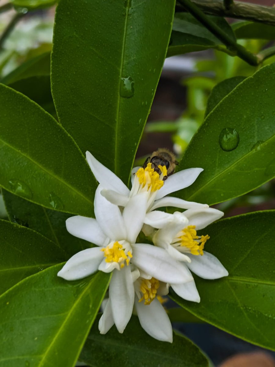 𝐒𝐚𝐝𝐢𝐢 𝐊 tweet media