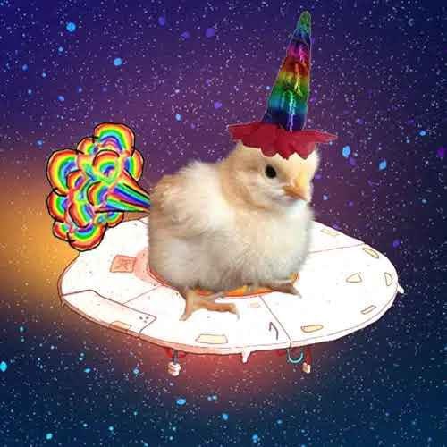 Tell me he is not a handsome boy!

8WWmdvawmBp8GdsMYNJ4cQWo4B2YcwiNZ99AfCLZpump