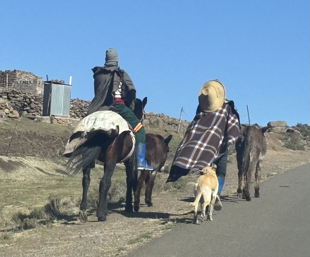 MarkHillKC's tweet photo. Farewell to Lesotho. The breathtaking beauty of the Kingdom in the Sky and the warmth and charm of the Basotho people will be a lasting memory for me and for many others too. ⁦⁦@HarryMacDonald0⁩ https://t.co/bDvWQn7M6x
