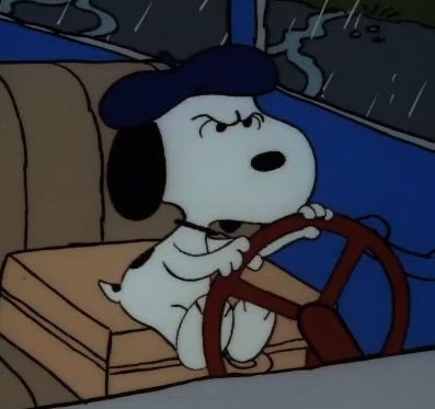 snoomfies's tweet image. Driving through traffic