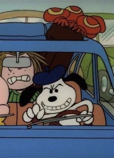 snoomfies's tweet image. Driving through traffic