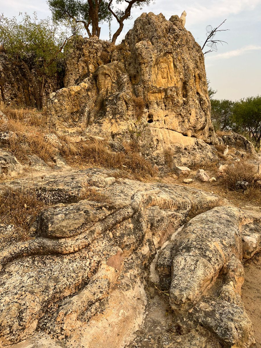 Helena Bayo tweet media