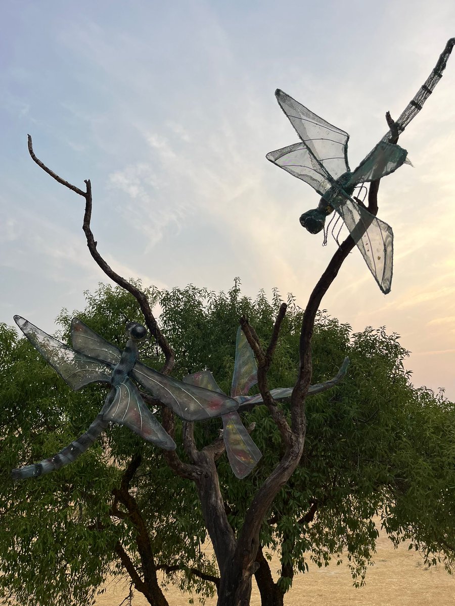 Helena Bayo tweet media