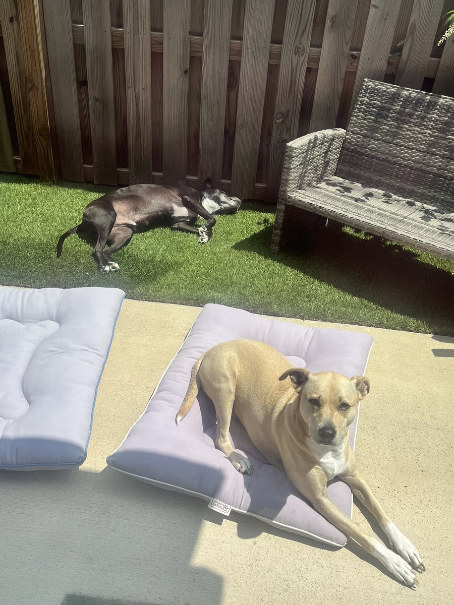 Scott Carpenter tweet media