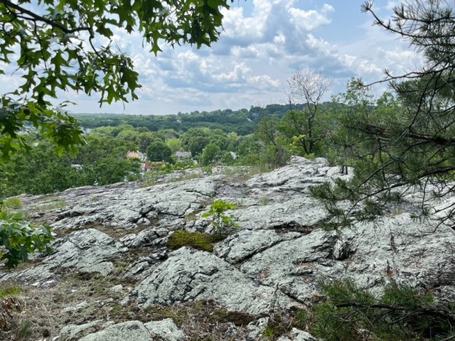 On Wed. Aug. 27 at 6:00 pm, the BPDA is holding a virtual public meeting regarding the revised 990 American Legion/Crane Ledge Woods development project. This is another official opportunity to listen, ask questions, and comment. Info/registration link:
mailchi.mp/boston/alhpm-4…