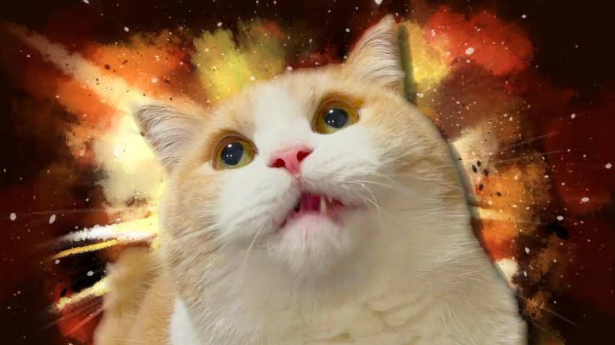 れおち ＠せかなつ (@reochi_snd) on Twitter photo 