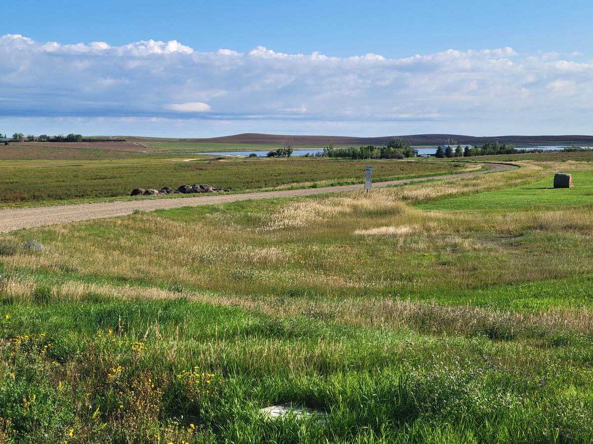 The dirt road, the colours, a hay bale, and that sky! The prairie stole my heart again. ❤️