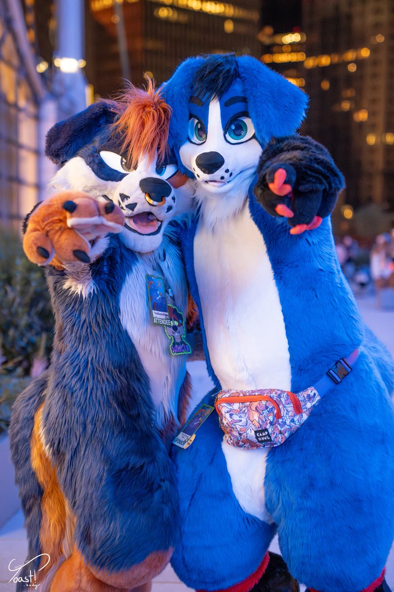 ๐ฟDog With A Blog๐ฟ (@aussiefluffbutt) on Twitter photo Hey you! Ya you! You're awesome an don't forget thatโจ๏ธ
๐ต๐ - <a href="/thatbluebeagle/">Saiiii ๐ Megaplex</a>
๐ธ - <a href="/ToastIsADog/">Toast! ๐ฅช ๐ AC</a> Hey you! Ya you! You're awesome an don't forget thatโจ๏ธ
๐ต๐ - <a href="/thatbluebeagle/">Saiiii ๐ Megaplex</a>
๐ธ - <a href="/ToastIsADog/">Toast! ๐ฅช ๐ AC</a>