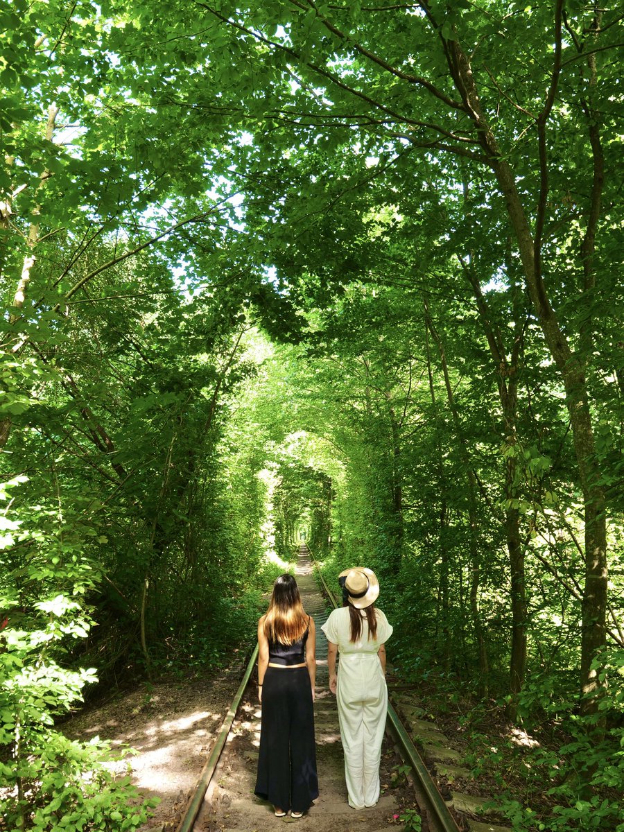 ウクライナの愛のトンネル🫶
ここはリウネからタクシーで行った！
線路と緑のアーチの木が
可愛いかった🛤️💚

🇺🇦 Ukraine Tunnel of Love
 #私が見た綺麗な世界