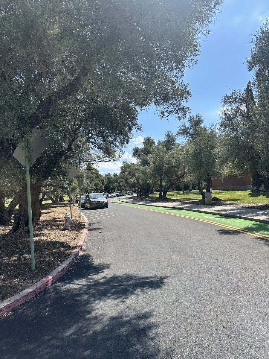 I made it to UOFA. She’s gotta be out there right????