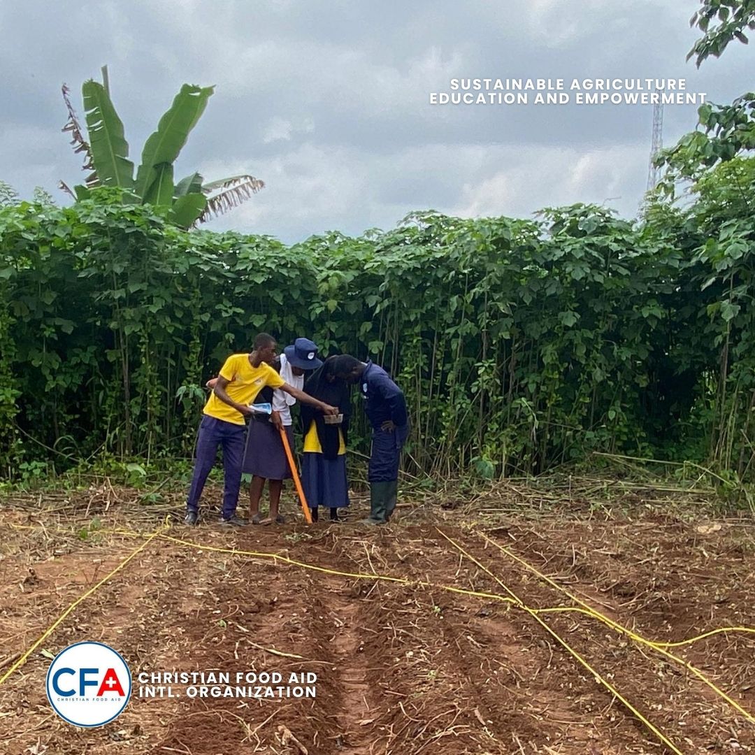 CFA_Intl's tweet image. Yesterday at Modakeke Islamic Grammar School, the soil came alive!
We weeded, marked a new garden, planted Amaranthus, Cucumber &amp;amp; Jute, mulched, and trained students.
Not just farming, a living classroom, a future in bloom.

#SAEEProject #ChristianFoodAid #NoOneGoesToBedHungry
