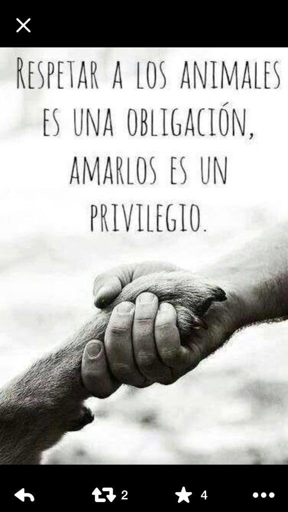 Amor incondicional