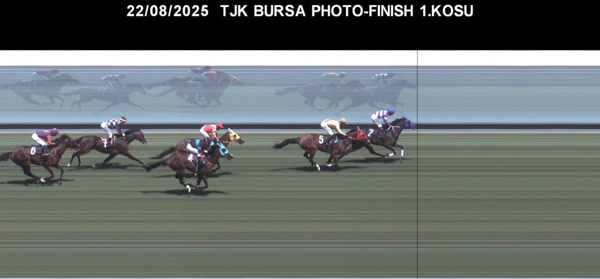 Haramız da doğup büyüyen ZELUCCİ Bursa’da katıldığı “Handikap 14” koşuyu kazanmıştır.İlgililerini tebrik eder,başarılarının devamını dileriz.