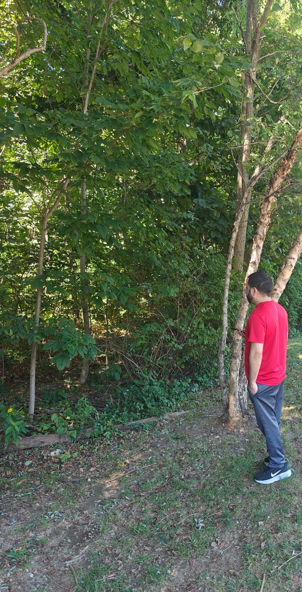 Don't go in there <a href="/Ling_21s/">Oasis | Ling</a>!