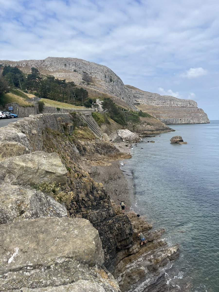 Halliwellness's tweet photo. Trek up the Great Orme this morning 🐏 https://t.co/cVxAOraJYt