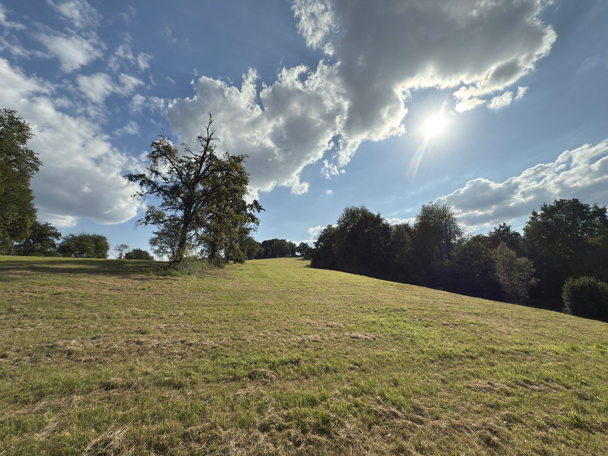 Vom Lauterbachtal zur Kassler Heide #Siebengebirge #Wanderlust #Stieldorferhohn