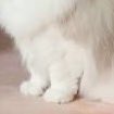 Katz Lee. ★★ tweet media