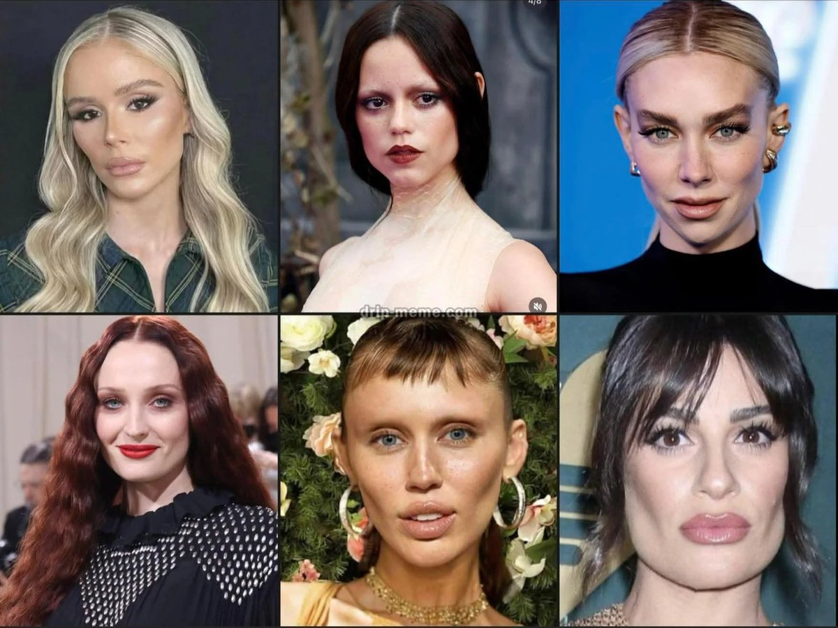 TaraBull tweet media