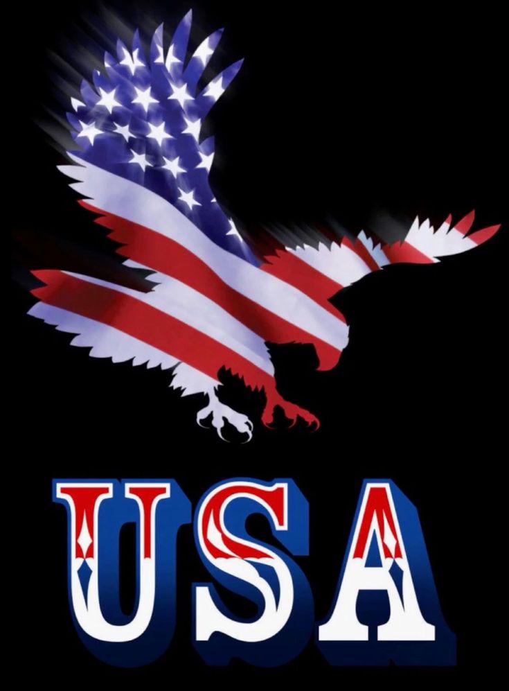 PrinceHumedi's tweet image. I love my USA fans