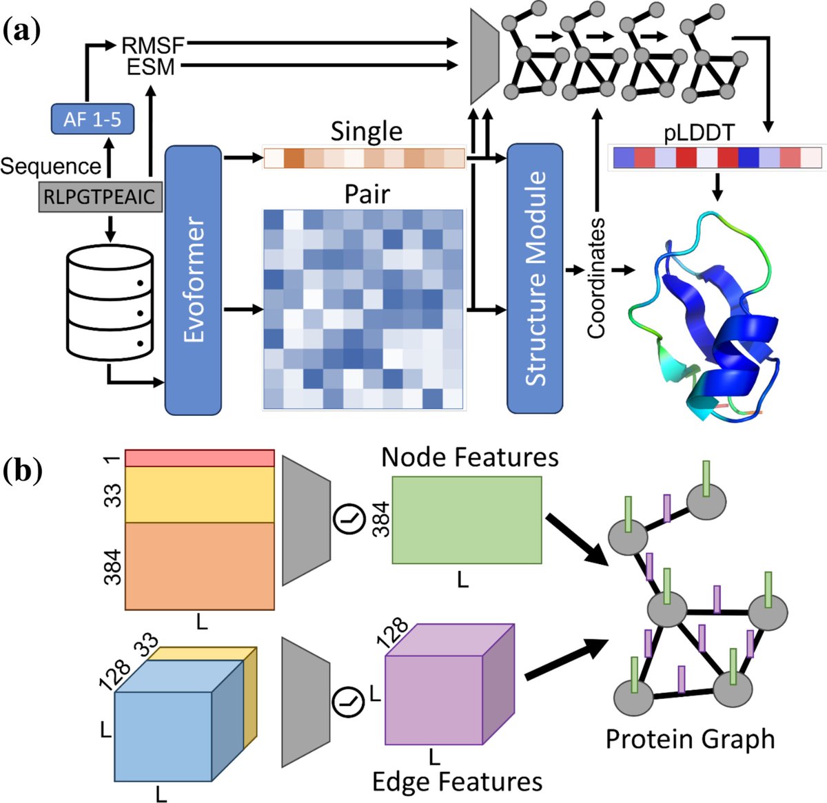 kiharalab's tweet image. New paper from our lab! Introducing EQAFold: "AlphaFold model quality self‐assessment improvement via deep graph learning" Jacob Verburgt, Zicong Zhang & D. Kihara, Protein Science.  onlinelibrary.wiley.com/doi/10.1002/pr…