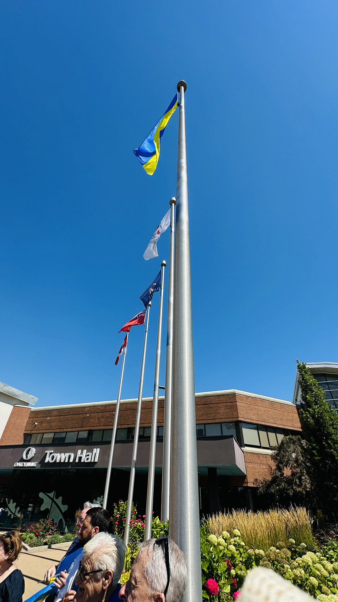 Dr. Scott Xie tweet media