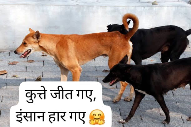 <a href="/PMOIndia/">PMO India</a> <a href="/narendramodi/">Narendra Modi</a> <a href="/arjunrammeghwal/">Arjun Ram Meghwal</a> <a href="/indSupremeCourt/">Supreme Court of India</a>
 <a href="/rashtrapatibhvn/">President of India</a> 
We aggreived homebuyers are waiting for justice for last 14 years,but Hon'ble supreme court dont have time to hear our prayer of who paid life time earnings to Supertech,dogs got the justice but we dont.