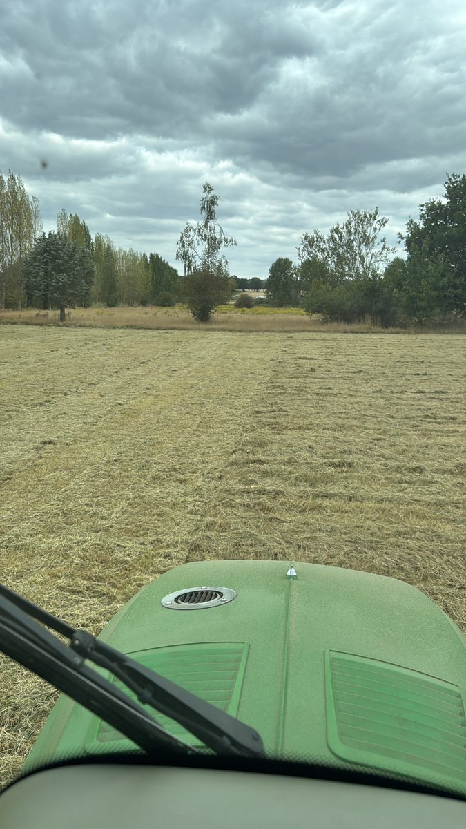 grasslad's tweet photo. 📞 “Do you think you could cut this please and mark out a football pitch”

Errrr I’ll do my best…… 4 cuts later and we are down from 560mm - 45mm 
Another visit next week and should have a better canvas to work with. 

#bigjob #lotsofgrass #ittakestime https://t.co/7NFjyqIxeq