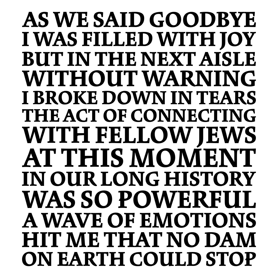 We said goodbye. I was filled with joy. But in the next aisle, without warning I broke down in tears. The very act of connecting w/fellow #Jews at this moment in our history was so powerful a wave of emotions hit me that no dam on earth could stop. #shabbatshalom #jewish Part 6/7
