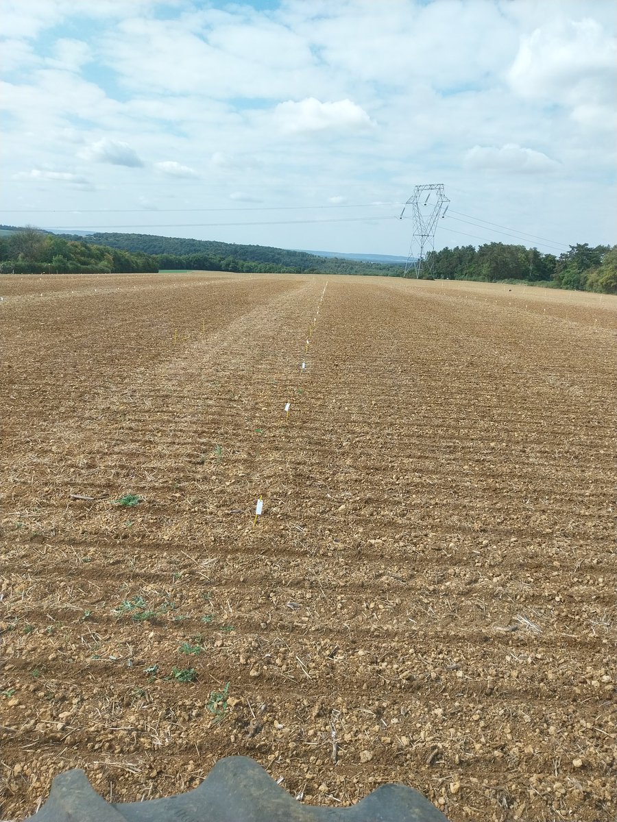 Reprise des semis ce #vendredi un peu plus de 320 microparcelles de #colza pour cette plate-forme d'essais où seront évalués les futurs variétés du <a href="/GEVESGip/">GEVES</a>, stratégies lutte CBT et larves d'altises, tests viroses pucerons. #ceuxquifontlesessais
