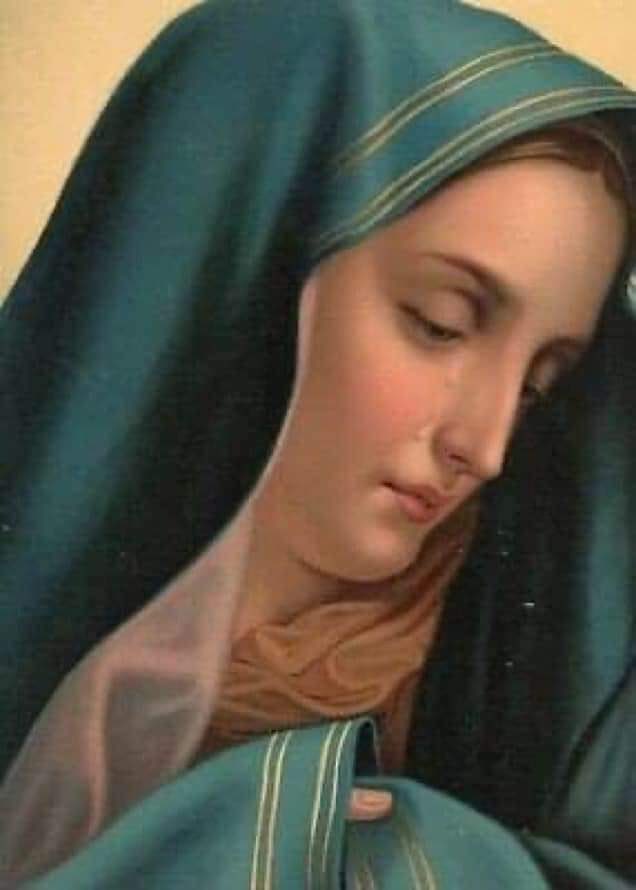 أين   كنت   عندما 
ظهرت   السيده العذراء
بكنيستها       بالوراق منذ زمن قريب  جداً
عندما  رأها  الجميع ورتلو لها