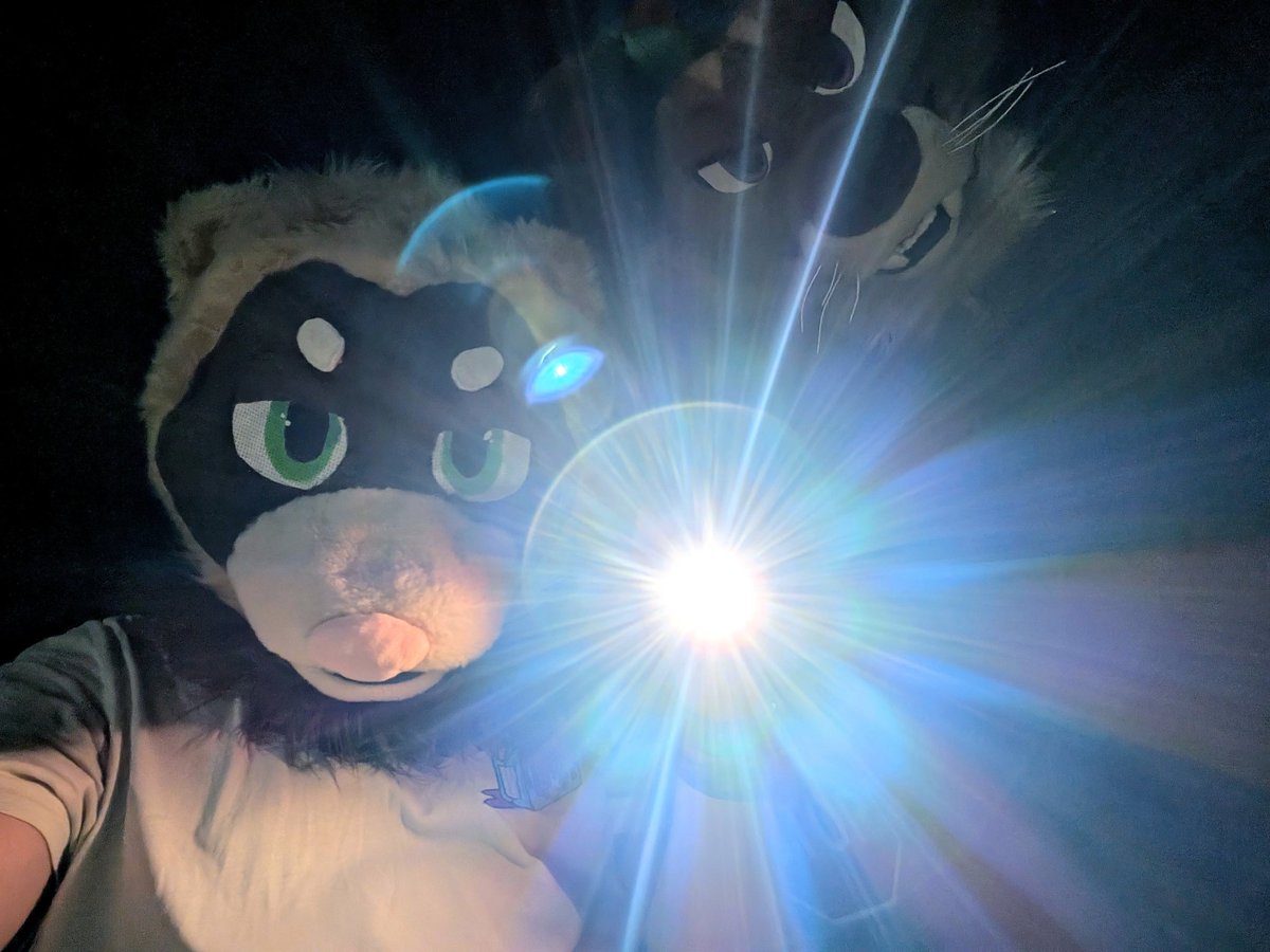 Aspen 🌳 tweet media