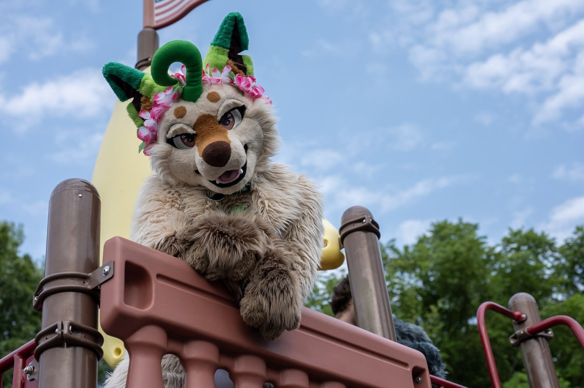 Ivy Leafeon (@meowsom3) on Twitter photo Can't wait to be a lil creature at Megaplex and see everyone again 🥰🌺
📷<a href="/luckyringtail/">Lucky Ringtail</a> #FursuitFriday Can't wait to be a lil creature at Megaplex and see everyone again 🥰🌺
📷<a href="/luckyringtail/">Lucky Ringtail</a> #FursuitFriday
