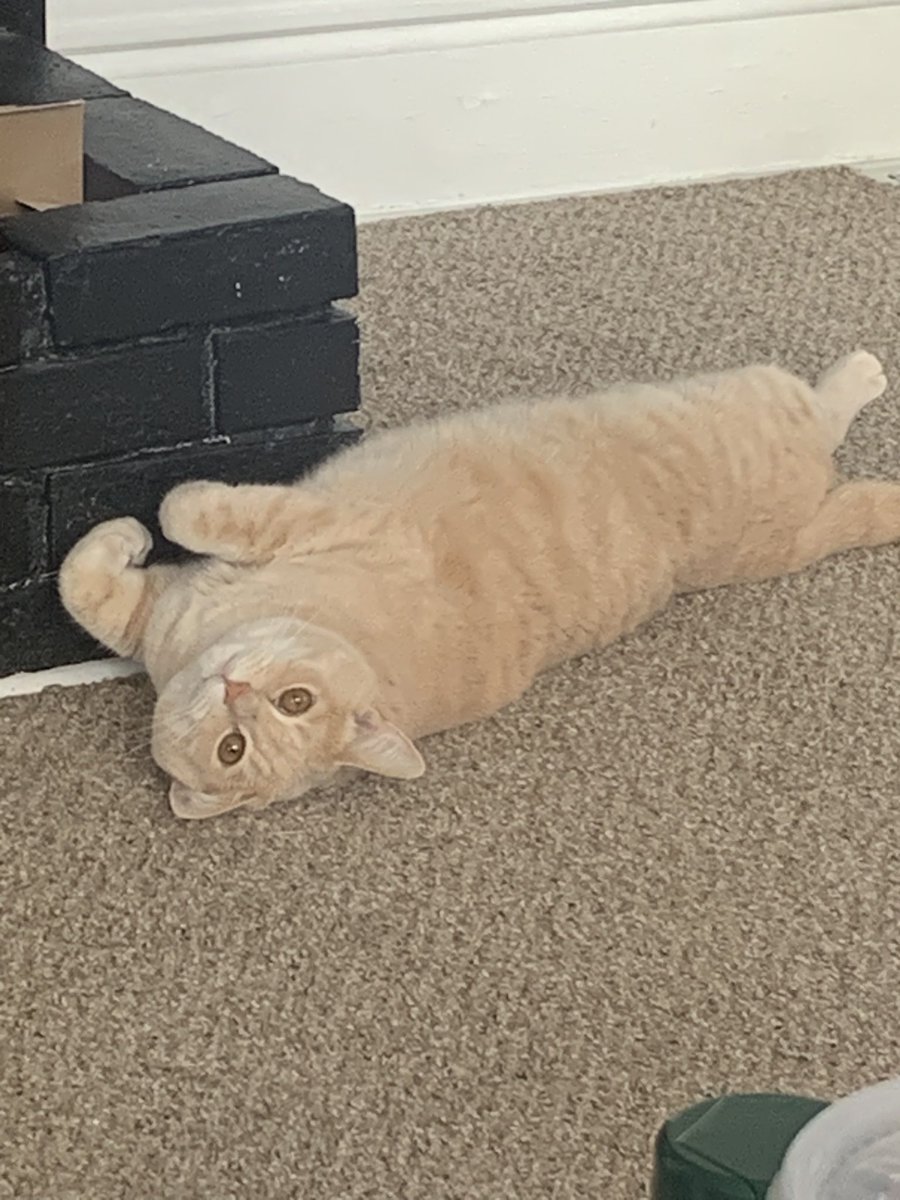 Suna wishes you all a very good day ☀️❤️