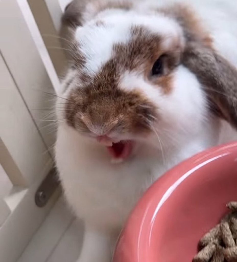 63`สิบแปด (@six3ten8) on Twitter photo มึง 55555555555555555 มึง 55555555555555555