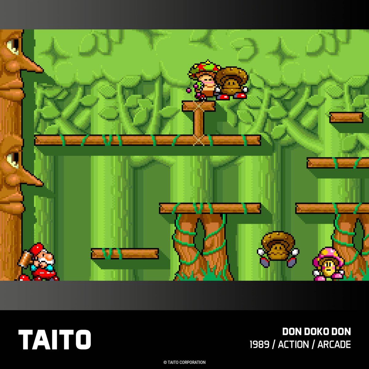 Evercade tweet media