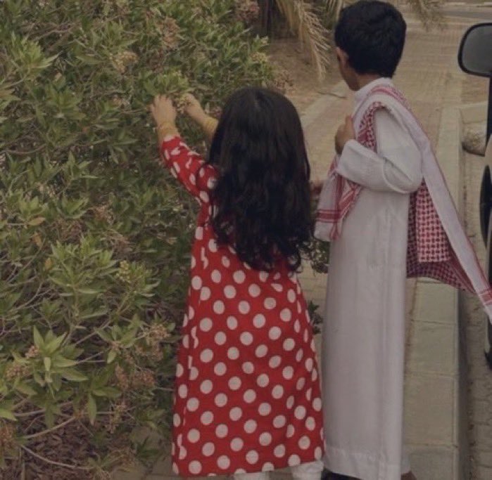 ؛
ودي اشوفك،، كل ما ادخل النت  
وأقرأ  رسايل حضرتك  والقصايد 

متابعيني كثار ،، ماخترت غير انت 
انت الوحيد،،  اللي على الكل رايد 
؛