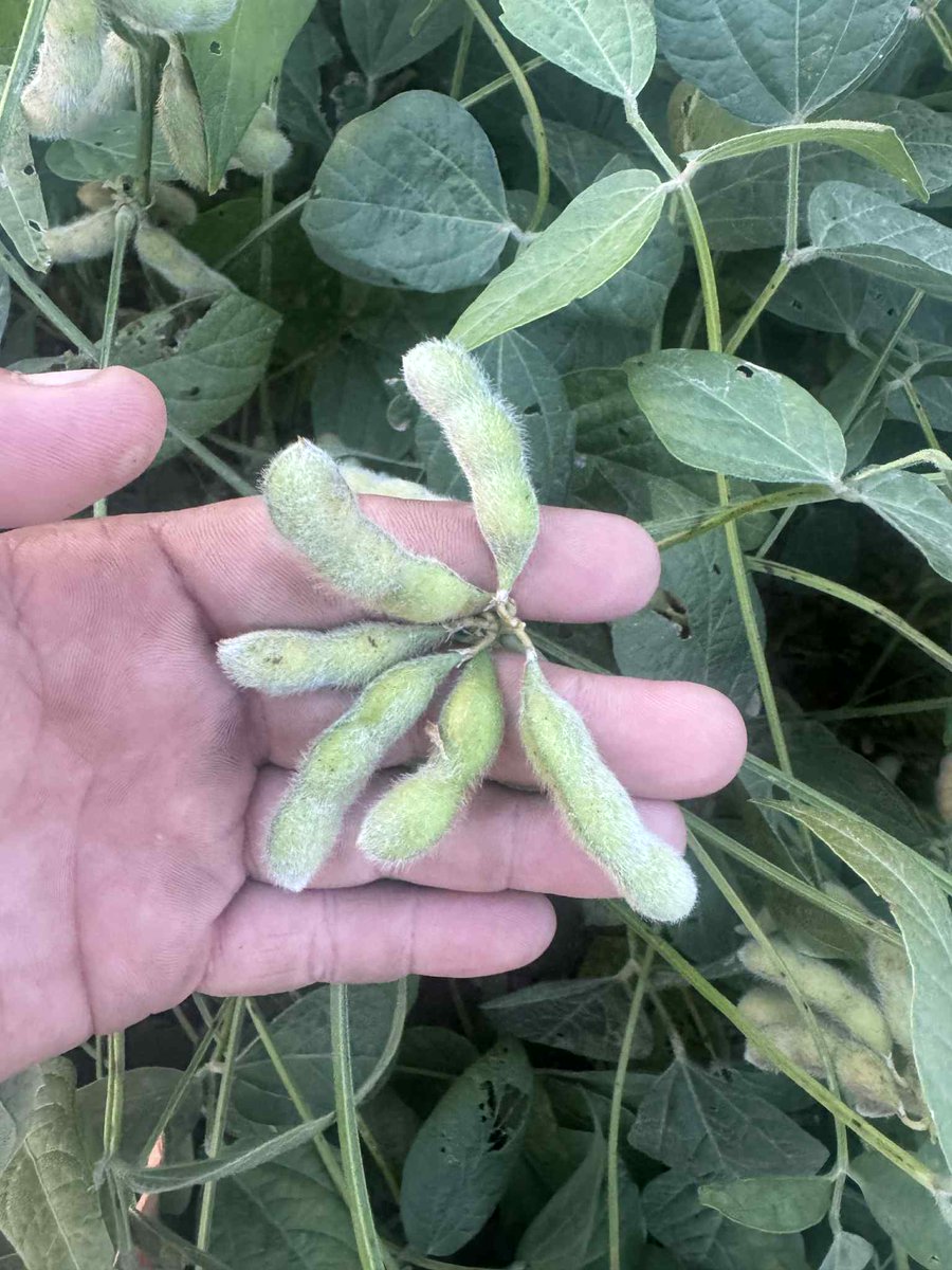 Concept AgriTek tweet media