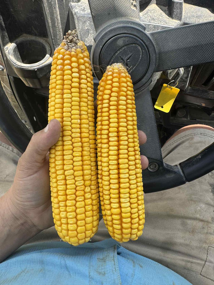 Concept AgriTek tweet media