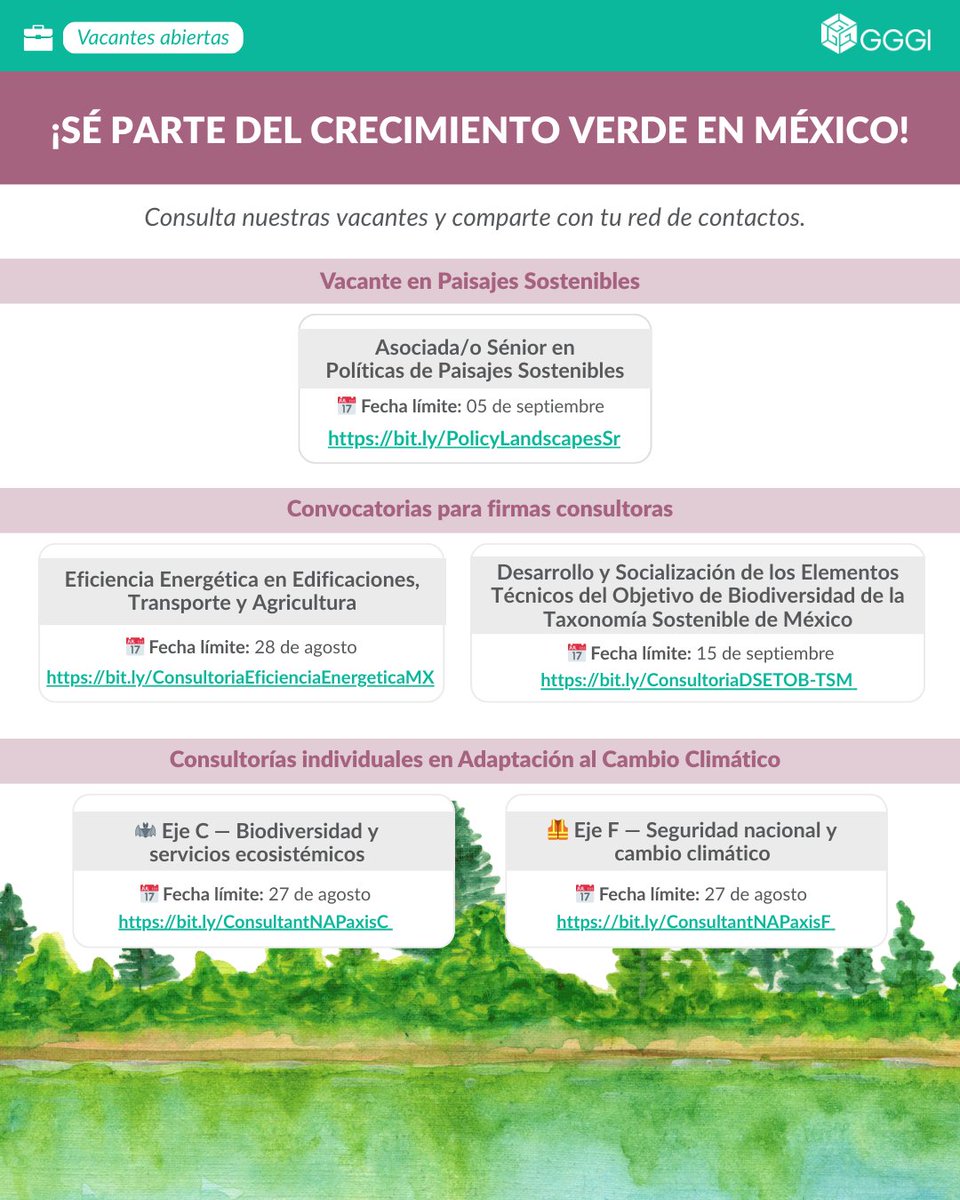 💚💼 ¡Hoy es #ViernesDeVacantes! ​
Conoce nuestras convocatorias abiertas y manda tu postulación.​

🔹Vacante en Paisajes Sostenibles:​
🌱Asociada/o Sénior en Políticas de Paisajes Sostenibles: bit.ly/PolicyLandscap… ​
Fecha límite: 05 de septiembre​

🔹Convocatorias para firmas