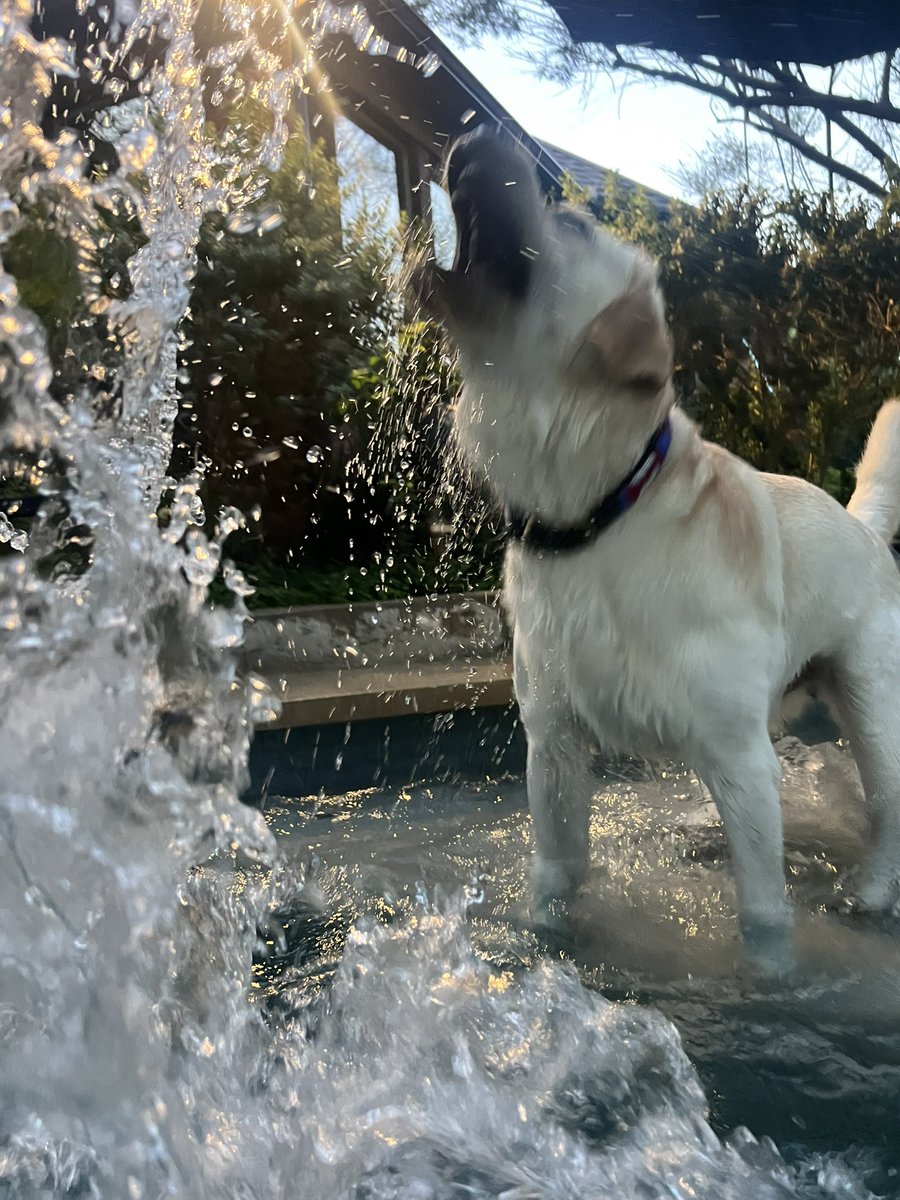 Tom Leatherbury tweet media