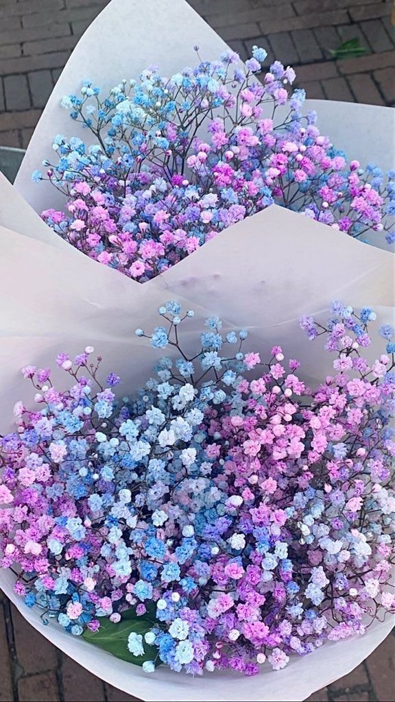 La vie est belle (@lavieestbelie) on Twitter photo 