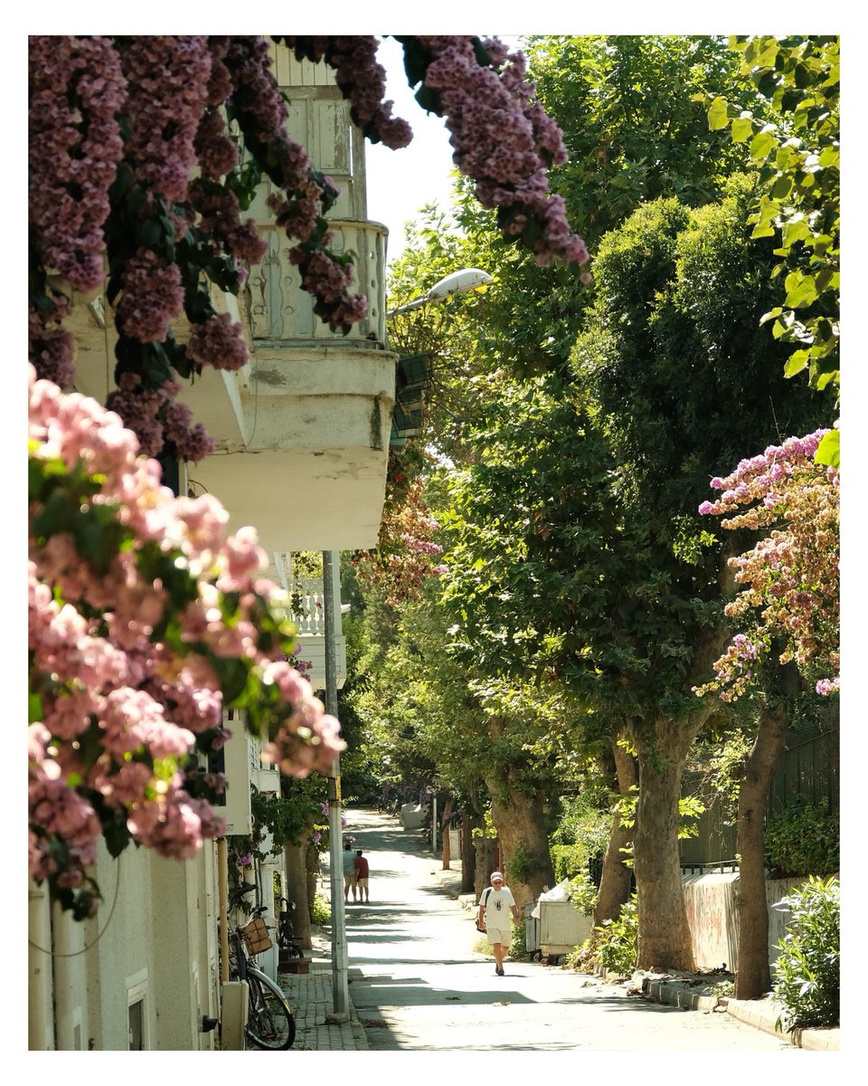 Büyükada renk paleti 🌿